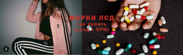 стафф Карпинск